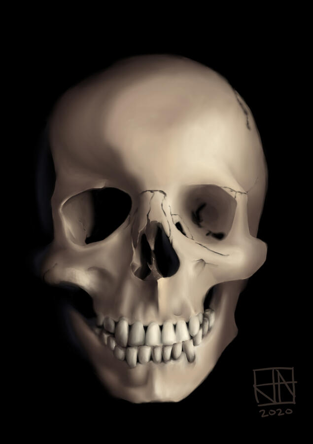 Skull Study (Digital)